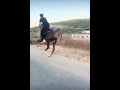 فارس الفرسان عنيتر بن شديد دويتو Automobile يوميات ترند دودجر Mmafighters Ufcfighters فارس الفرسان عنيتر بن شديد دويتو Automobile يوميات ترند دودجر Mmafighters Ufcfighters