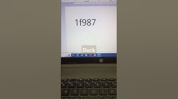 Duck #computertips #cuteanimal #computerlove #lovely #cuteseacreature #msword #duck