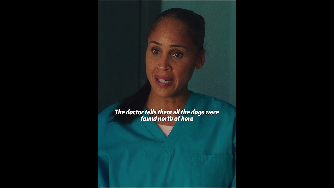 Because of a dog, I saw something terrifying behind it #movie #film