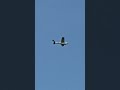 I just love watching them go by! #planes #planespotting #planestrainsandautomobiles