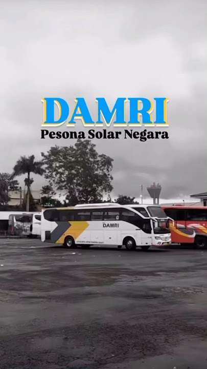 Sejarah PO Bus Plat Merah Damri #busmania #basuri #newarmada #skylanderr25