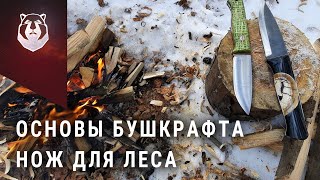 Нож для леса. Какой нож выбрать для бушкрафта. Сканди или линза?