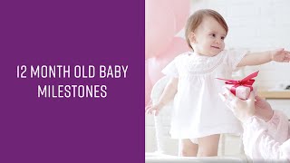 12 Month Old Baby Development Milestones I Emma’s Diary