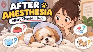 Dog After Anesthesia | When Can They Eat, Drink and What's Normal