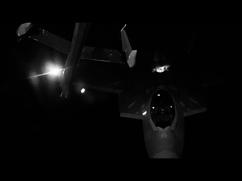 Fish - d2s1(Mega Slowed)