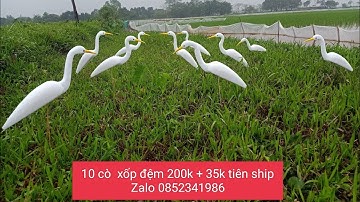 cò giả xốp đệm dẻo . cò giả úp lưới . cò giả săn bắn. cò giả đánh keo cò