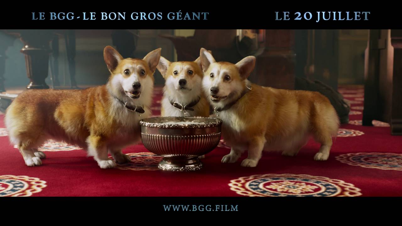 LE BGG - LE BON GROS GEANT spot 3