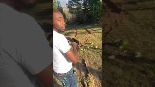 Shooting watermelon with the vepr 12  YouTube #shorts