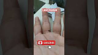 lalat #lalatmabuk #lalatpusing