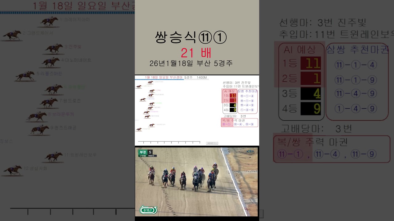 쌍승식 21배 적중 1월18일 부산경마 5경주#ai경마연구소