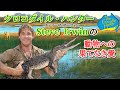 【クロコダイル・ハンター】スティーブ・アーウィンの動物愛
