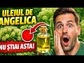 99 Dintre Oameni NU știu Asta Despre Uleiul De Angelica