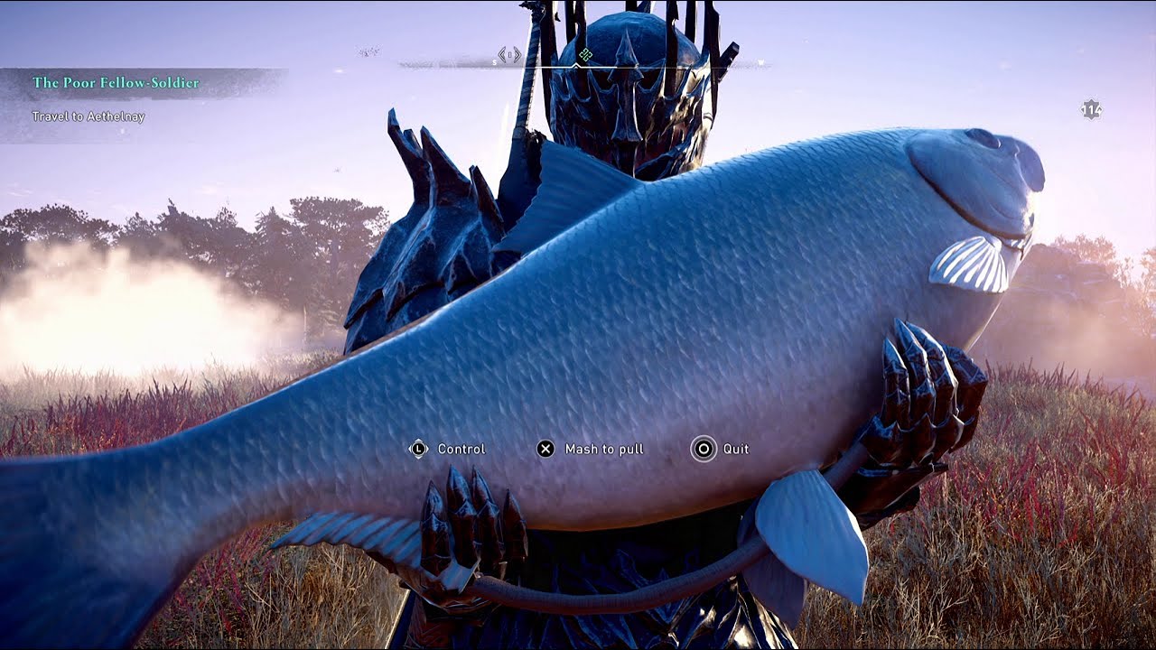 Big shad 2024
