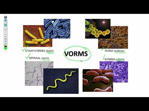 Video: Wat is die klassifikasie van lewende organismes?