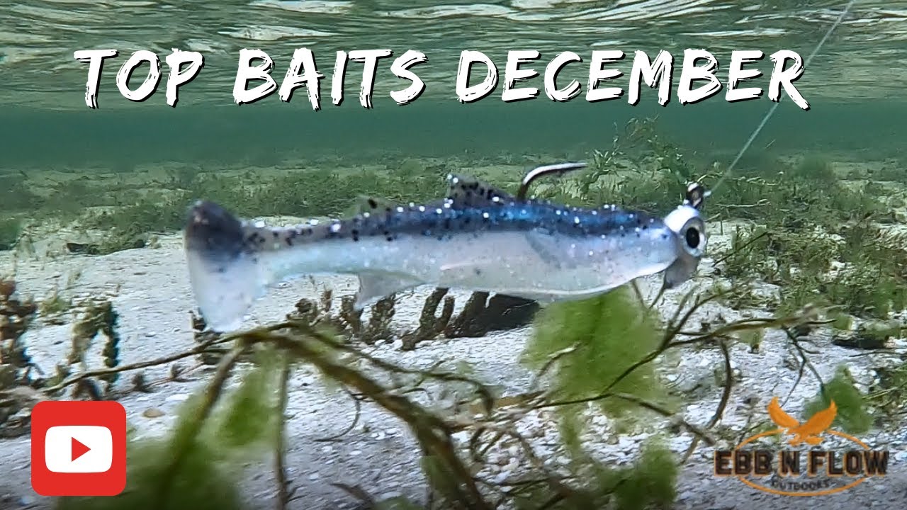 Top 5 Baits For Bass Fishing in December!