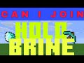 Can I join HoloBrine Smp #minecraft @mechiku1611