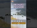 【生活】雲海故鄉思源埡口 四季皆具獨特景致