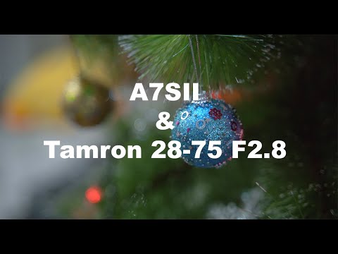 Sony A7sII and Tamron 28-75 F2.8 (Shoot In S-log 2 ) | Video Test 4K