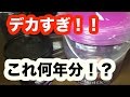 【海水魚】コスパが最強すぎる海水を買ってみた
