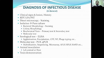 Staphyloccus - Practical
