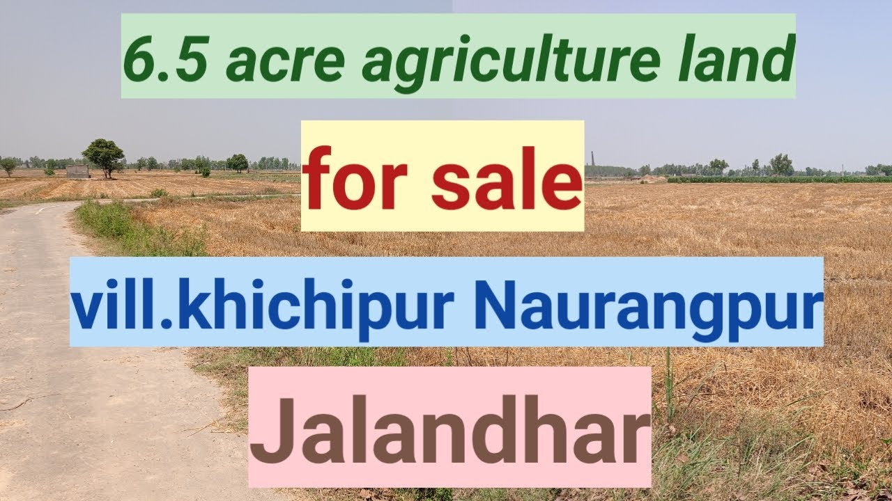 6.5 acre agriculture land for sale village khichipur narangpur jalandhar
