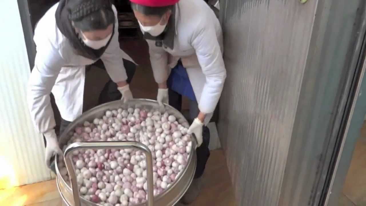 Black Garlic is a unique fruity, odorless garlic