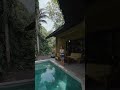 Soft Breezes, Forest Views, Pure Ubud Calm