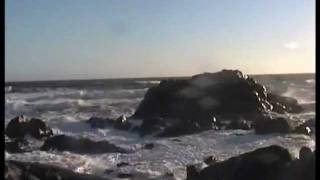 South Africa 2002