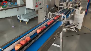 [CHLB-Pack]  3 Apples lettuce  celery fruit vegetables Horizontal packing machine  CB-680XWS