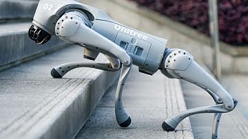 Unitree Go2 Review – Next-Gen Robotic Dog in Action