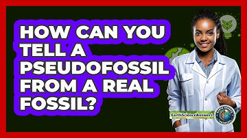 How Can You Tell A Pseudofossil From A Real Fossil? - Earth Science Answers