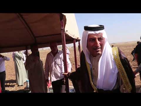 استقبال الشيخ خضر الفرحان العباوي السبعاوي في سوريا عند الصالح الجمو