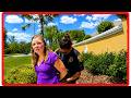 Special Ed Teacher REFUSES to Admit to Drinking — Then Cops Find 6 Empty Vodka Bottles in Her Car