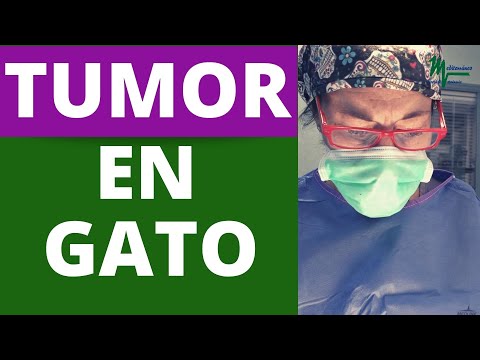 EXTIRPACIÓN DE TUMOR EN GATO CON INMUNODEFICIENCIA FELINA