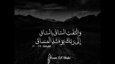 عشائية رائعة للأح أحمد حسناوي عندما خلف الشيخ رفيق خريف ــ سورة القيامة ــ  الجزائر العاصمة