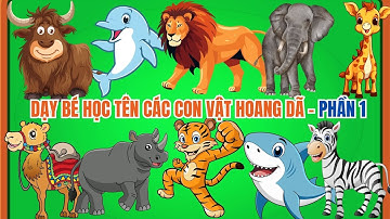 Dạy bé học tên các con vật hoang dã - 25 con vật hoang dã trên cạn và dưới nước - Học cùng bé Happy