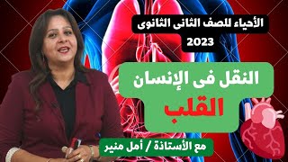 الأحياء للصف الثانى الثانوى 2023 | النقل فى الإنسان ـ القلب