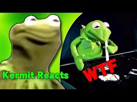 kermit-the-frog-reacts-to-kermit-the-frog-memes-(meme-comp)