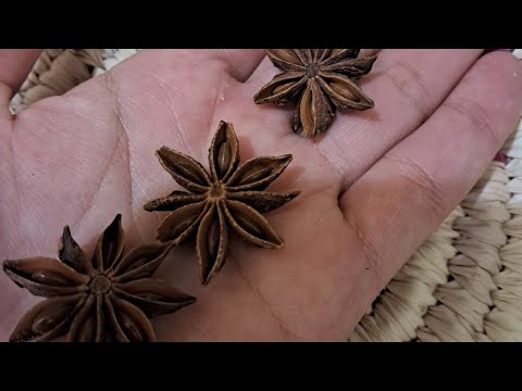 وصفة الباديان الرهيبة لزيادة الوزن ستلاحظين الفرق خلال عشرة ايام