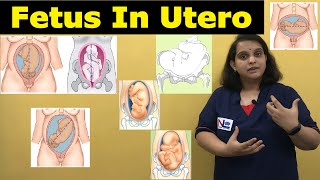 Fetus in Utero | Lie/Presentation/Attitude/Denominator/Presenting Part/Position | Nursing Lecture Net Worth