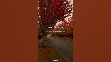 وَٱلْأَرْضَ وَضَعَهَا لِلْأَنَامِ -  سورة الرحمن - عبد الباسط عبد الصمد  #تلاوة_خاشعة