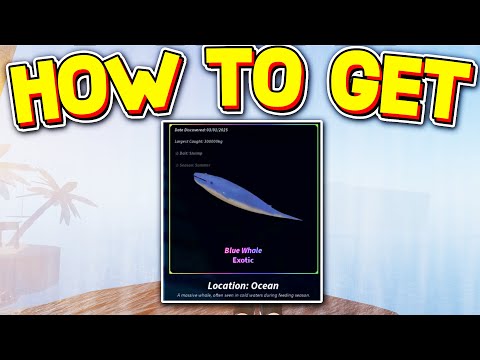HOW TO CATCH MOBY BLUE WHALE in FISCH! ROBLOX HOW TO CATCH MOBY BLUE WHALE in FISCH! ROBLOX