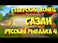 русская рыбалка 4 - Сазан река Северский Донец - рр4 фарм Алексей Майоров