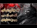 دبكة حولاقي جدأ مطلوبه خلك شنب خلك ذيب جديد و حصري 2024