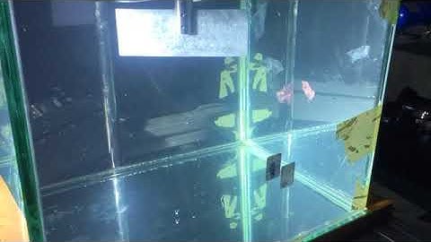 Microplastics in turbulence using 3D-PTV