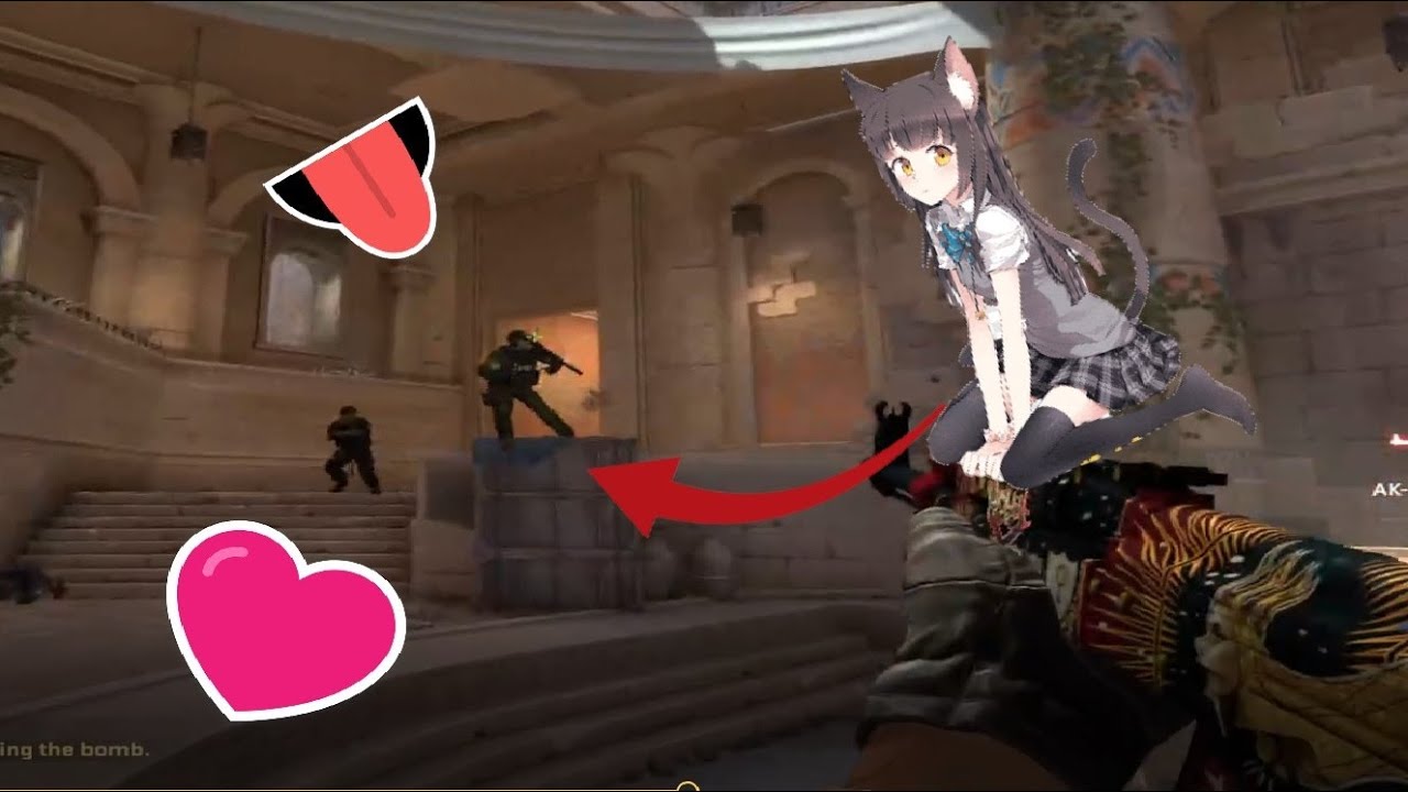 CUTE KITTENS PLAY CS:GO - YouTube