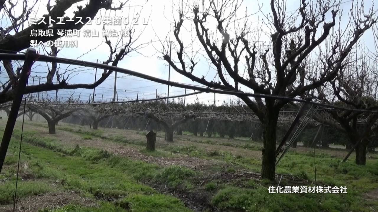 喜ばれる誕生日プレゼント ミストエース20細滴 02L-03 15cm千鳥 100m ミスト 水やり 水撒き 潅水チューブ チューブ 潅水 散水チューブ  灌水チューブ 散水用品 農業資材 園芸用品 農業用 園芸 ガーデニング 用品 ガーデニング用品 ガーデン用品 農作業 便利 グッズ asakusa  ...