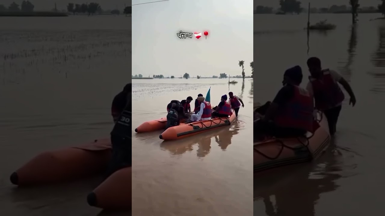 🙏🥹🥹🙏🥹🙏🙏💯😱🙏🙏🙏😱🙏😱😱🙏😱🙏😱🙏🙏🙏😱🙏😱🙏😱🙏😱🙏🙏😱🙏😱