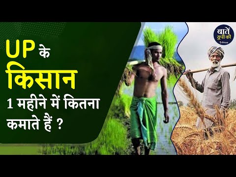 वीडियो: एक फल किसान कितना कमाता है?