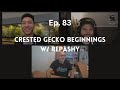 Crested Gecko Beginnings w/ Allen Repashy | Ep. 83 of The Gecko Pod